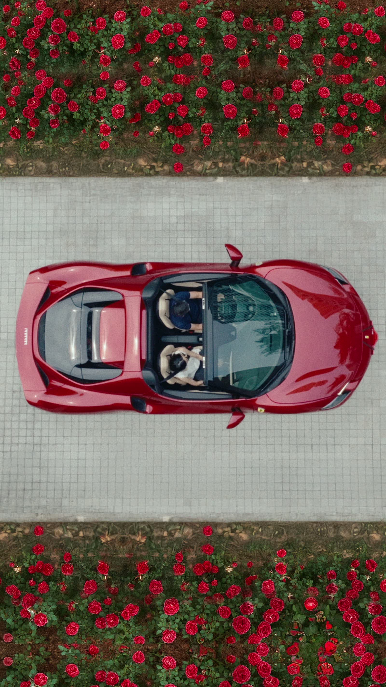 Blackbird Ferrari — Precision, in Motion